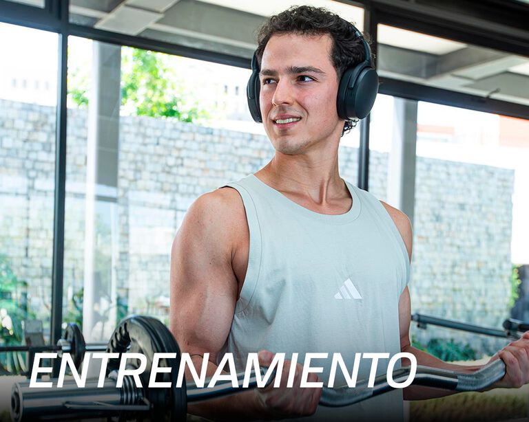 Imagen sin nombre