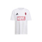 Conjunto de Playera de Marvel Hombre Ara&ntilde;a Ni&ntilde;os image number null