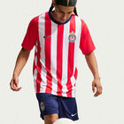 Nike Chivas Mnk Df Jsyss Ftbl Tp Cr Hm image number null