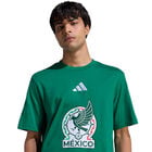 Playera Graphic DNA Selecci&oacute;n Nacional de M&eacute;xico image number null