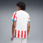 Jersey de F&uacute;tbol Puma Paraguay Local 2026 Replica Hombre image number null