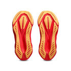 Tenis Asics Novablast 5 image number null