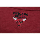 Fexpro Jersey Chicago Bulls image number null