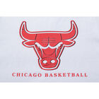 Fexpro Set Chicago Bulls Ni&ntilde;o image number null