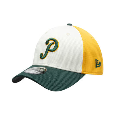 New Era 3930 Lmb St 25 Pericos De Puebla