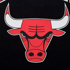 Fexpro Jersey Chicago Bulls image number null