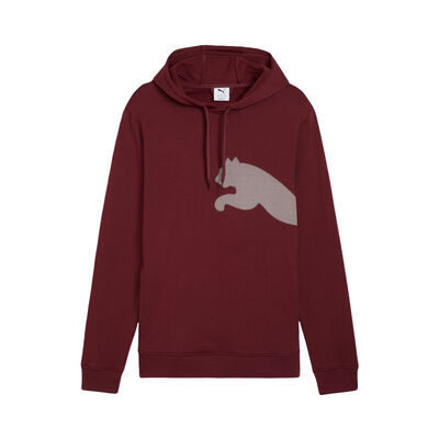 Puma M Tad Big Logo Hoodie