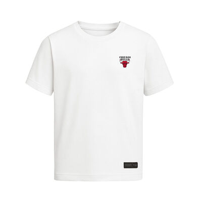 Fexpro Nba Real Hoops Chicago Bulls