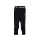 Nike G Np Legging image number null