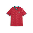 Puma Fpf Home Jersey Replica Jr image number null