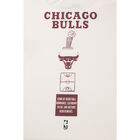 Fexpro Tshirt Chicago Bulls image number null