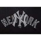 Fexpro Jersey New York Yankees image number null