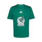 Playera Graphic DNA Selecci&oacute;n Nacional de M&eacute;xico image number null