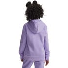 Under Armour Rival Flc Shimmer Hdy image number null