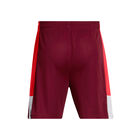 Under Armour Ua Zone 7 Short Red image number null