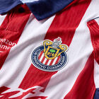 Nike Chivas M Nk Dfadv Jsy Ss Match Hm image number null