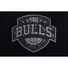 Fexpro Longpant Chicago Bulls image number null