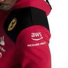 Puma Sf Team Hoodie image number null