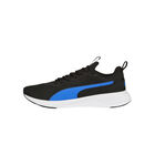 Puma Incinerate image number null