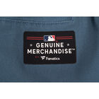 Fexpro Longpant New York Yankees image number null