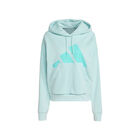 Sudadera con Gorro Essentials Big Logo Tela French Terry Holgada image number null