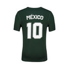 Charly Leyendas 10 Jersey Verde H image number null