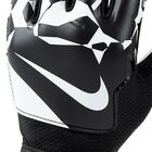 Nike Nk Gk Match Jr Ho24 image number null