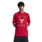 Playera Adidas Selecci&oacute;n Nacional de M&eacute;xico DNA image number null