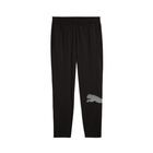 Pants Puma Train All Day Big Logo Woven image number null