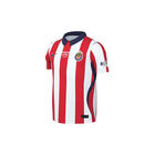 Nike Chivas Y Nk Df Jsy Ss Stad Hm image number null