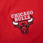 Fexpro Tshirt Chicago Bulls image number null