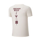 Fexpro Tshirt Chicago Bulls image number null
