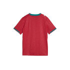 Puma Fpf Home Jersey Replica Jr image number null
