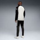 Puma Individual Liga Tracksuit image number null