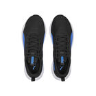 Puma Incinerate image number null