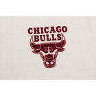 Fexpro Tshirt Chicago Bulls image number null
