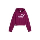 Puma Ess 2 Color No 1 Logo Short Length Hoodie Tr G image number null