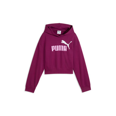 Puma Ess 2 Color No 1 Logo Short Length Hoodie Tr G