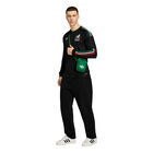 Adidas Fmf 3 Jsy L Mexico image number null