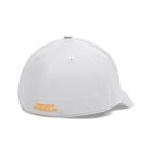 Under Armour Mens Blitzing image number null