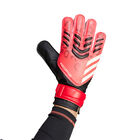 Adidas Guantes De Arquero Predator De Entrenamiento image number null