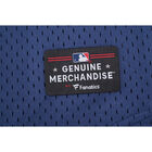 Fexpro Jersey Los Angeles Dodgers image number null