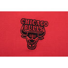 Fexpro Tshirt Chicago Bulls image number null