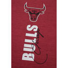 Fexpro Jersey Chicago Bulls image number null