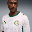 Puma Senegal Home Jersey Replica image number null