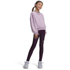 Under Armour Heatgear Legging image number null