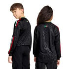 Adidas Fmf 3 Jsy Yl Mexico image number null