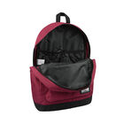 Dc Shoes Backpack Roja image number null