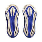 Asics Novablast 5D image number null