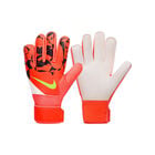Nike Nk Gk Match Jr Ho24 image number null